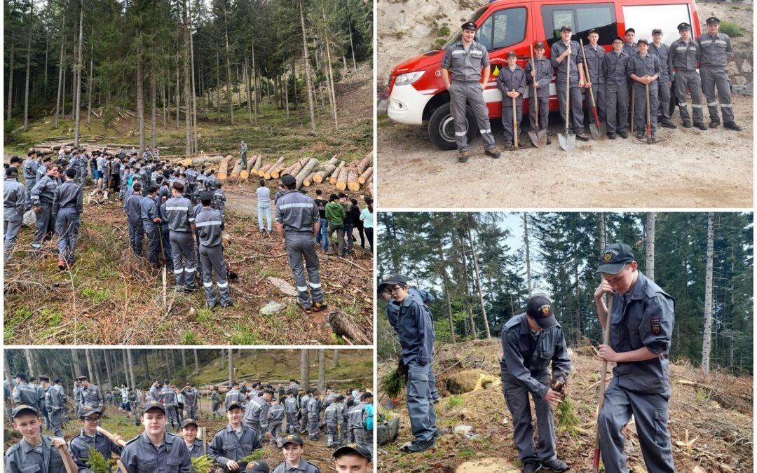 Baumpflanzaktion der Jugendgruppen des Bezirks Meran (06.05.2023)