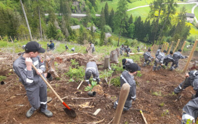 Baumpflanzaktion der Jugendgruppen des Bezirks Meran (10.05.2025)