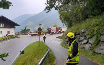 Technischer Einsatz – Baum verlegt Straße