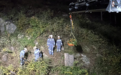 Baumpflanzchallenge 2025 – Feuerwehrjugend
