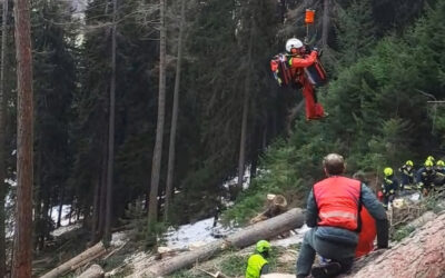 Forstunfall / Person in Gefahr