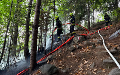 Unterstützung FF St. Martin – Waldbrand